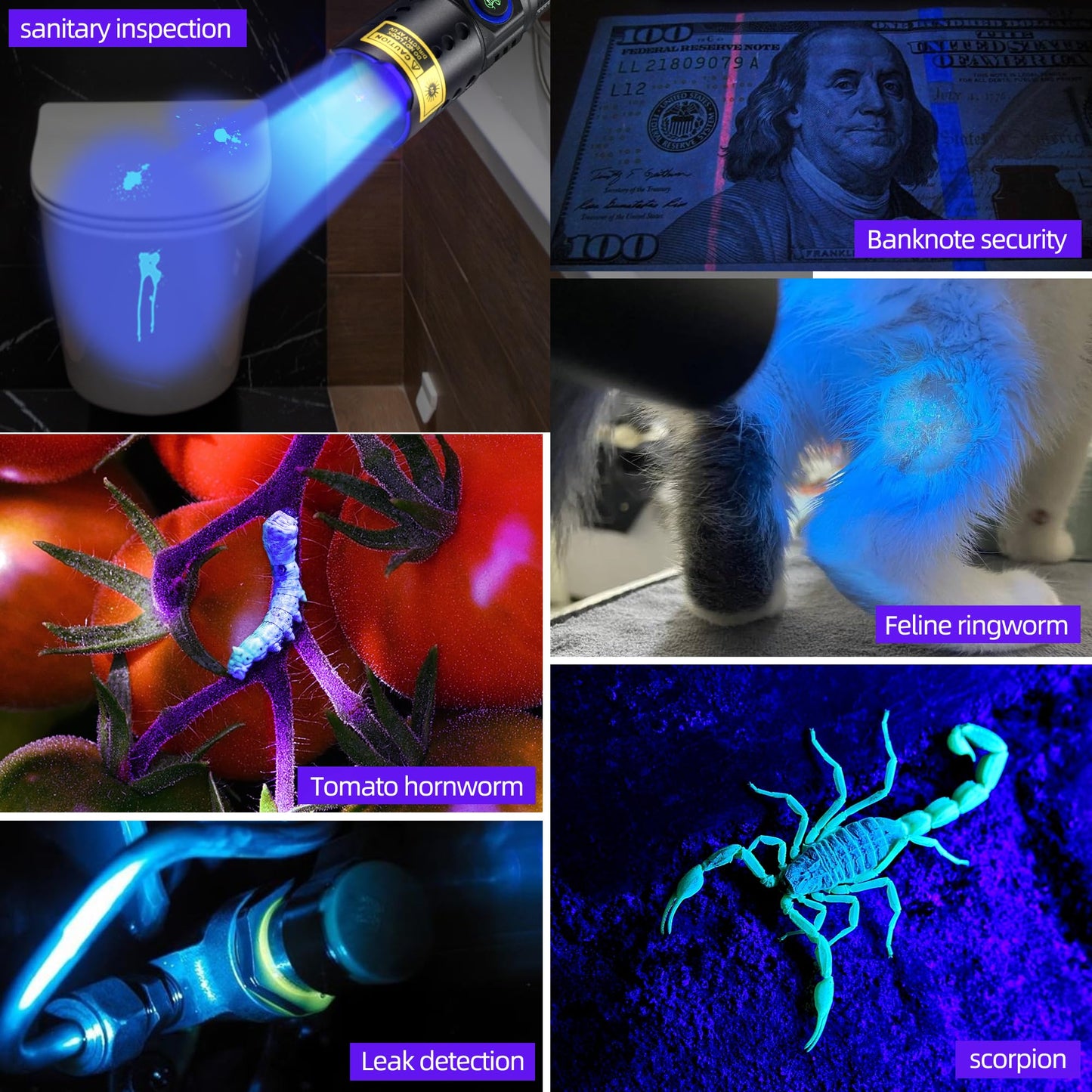 DARKBEAM 365nm UV Flashlight Black Light with Filter, Powerful Blacklight USB-C Rechargeable LED Mini Water Resistant- Detector for Pet Urine, Uranium Glass- Resin Curing- Blood Tracking
