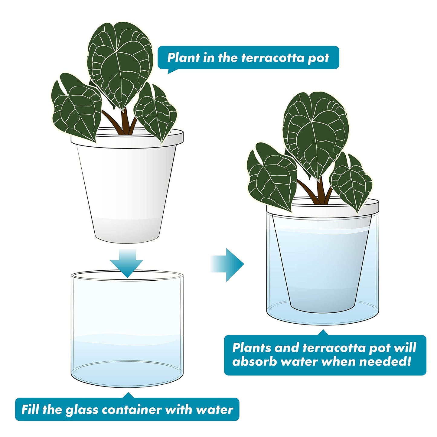 D'vine Dev 6 Inch Design Self Watering Planter for Indoor Plants, White Terracotta Pots with Cylinder Glass Cup, Set of 2, 37-Y-B-2