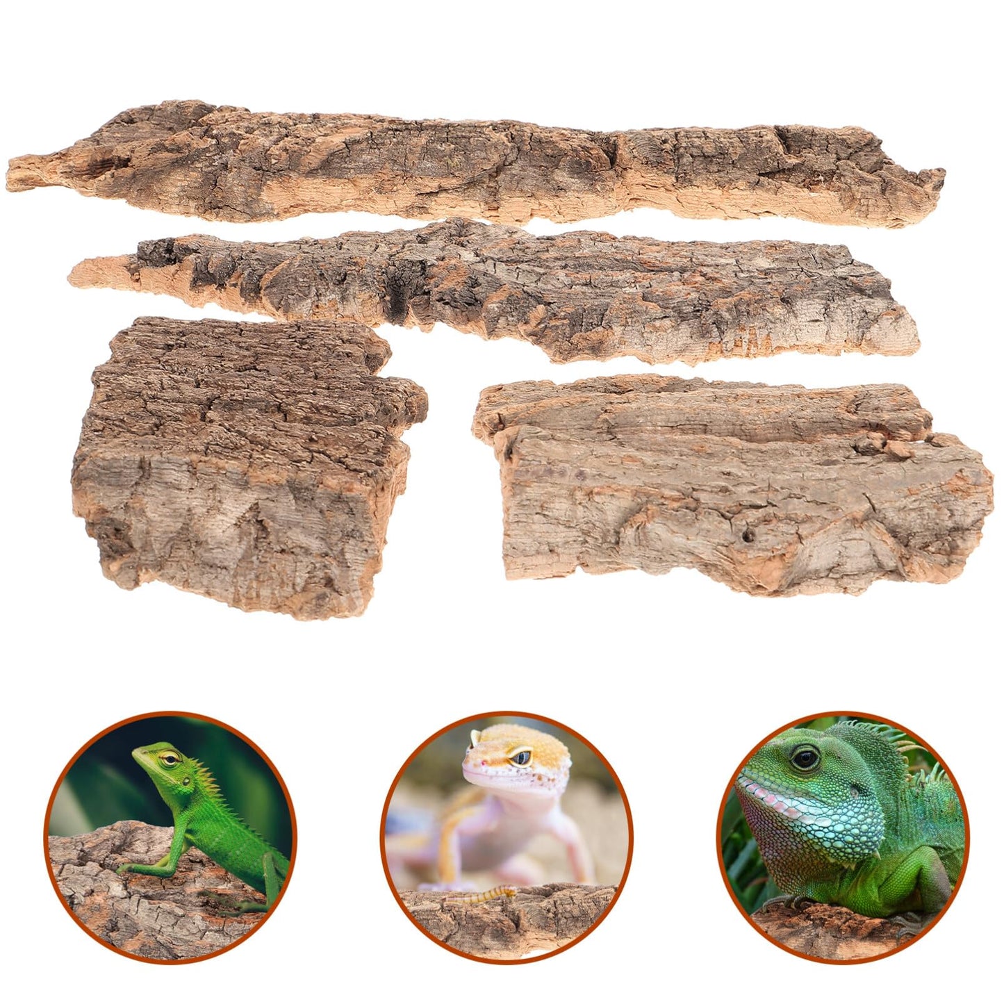 balacoo Reptile Bark Climbing Tree Decor 9.05In Natural Cork Wood Terrarium Accessories Reptile Hideout for Snakes Lizards Tortoise Habitat