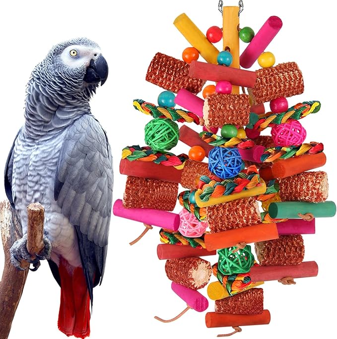 Kyouki Parrots Toys for Cockatiels, Budgies, Conures, Lovebirds, Quakers, Parrotlets, Caiques, Senegals, Meyer's & Other Small/Medium Birds - Natural Chewing & Foraging Toy with