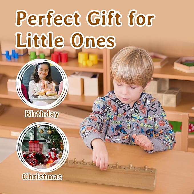 MONTESSORI OUTLET Cylinder Block (Part 2) for Children Aged 3-6 Montessori Education at School and Home