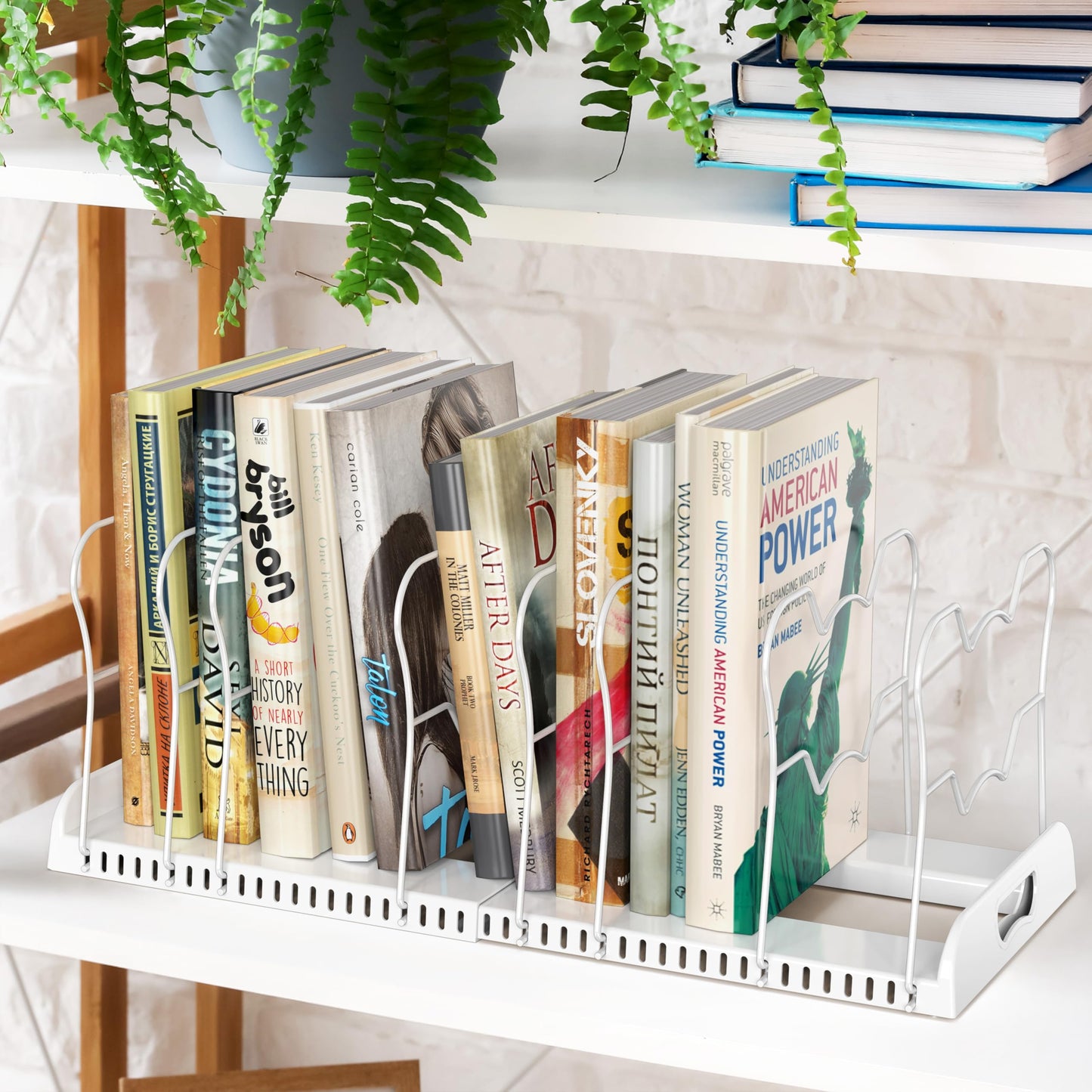 Simple Houseware Expandable Pan Organizer Rack, 10 Adjustable Compartments, White - Kitchen Cabinet Organizer for Pots, Pans, Lids & Bakeware - Pantry & Countertop Storage