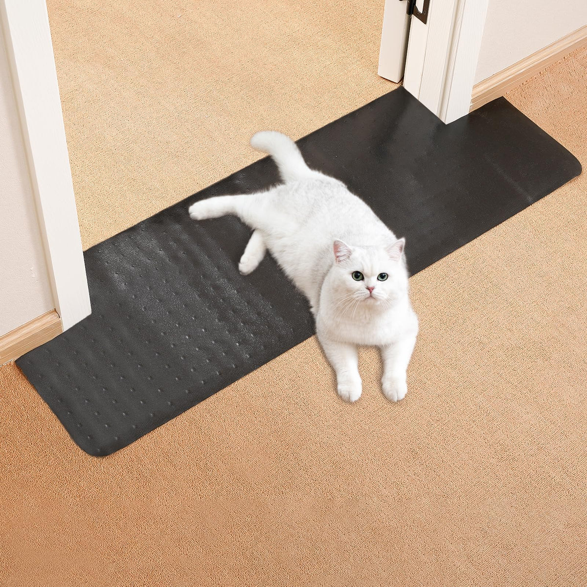 Uross Pet Protector Mat for Doorways - 6.56FT, Anti-Scratch Plastic, Protects Carpet from Cat Scratches