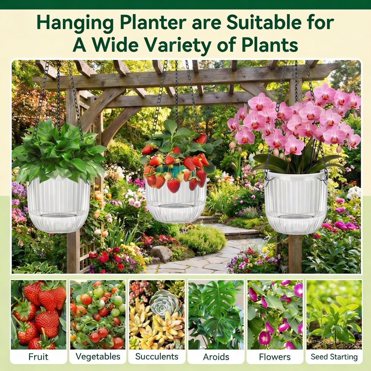 12 Pcs 4.5 Inch Self Watering Hanging Planters for Indoor Outdoor Plants Bulk Pet Small Hanging Flower Pots with Chain Hooks Drainage Holes with Labels 3 Transplant Tools Baskets for Simple Plant Care