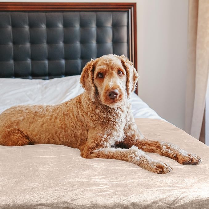 PETMAKER Water-Resistant Dog Blanket, Tan, 60” x 80”