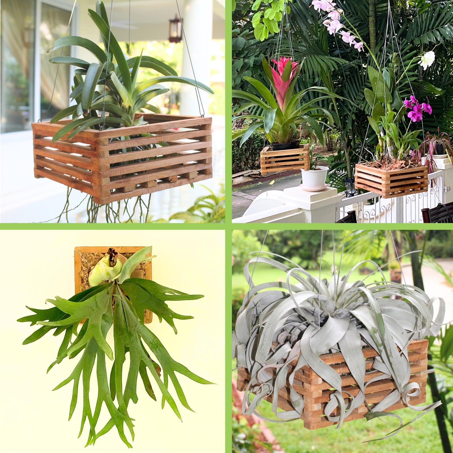 DESQUIGGLE Set of 3 Strong Wooden Orchid Baskets with Hangers, Vanda Baskets for Outside