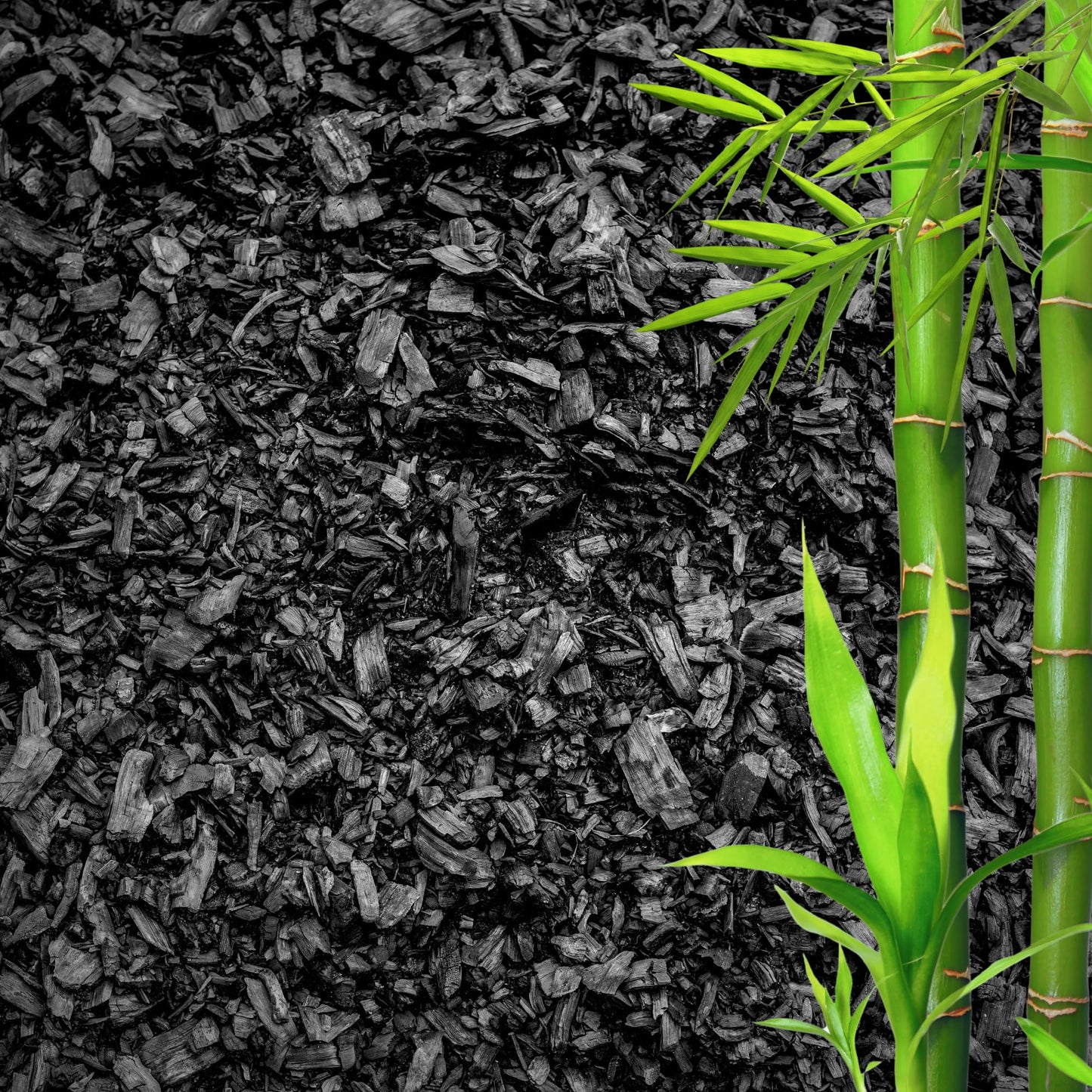 GARDENWISE Horticultural Charcoal for Plants β Organic Bio Char Soil Amendment for Terrariums, Indoor Plants & Gardening, Made in USA (30 quarts)