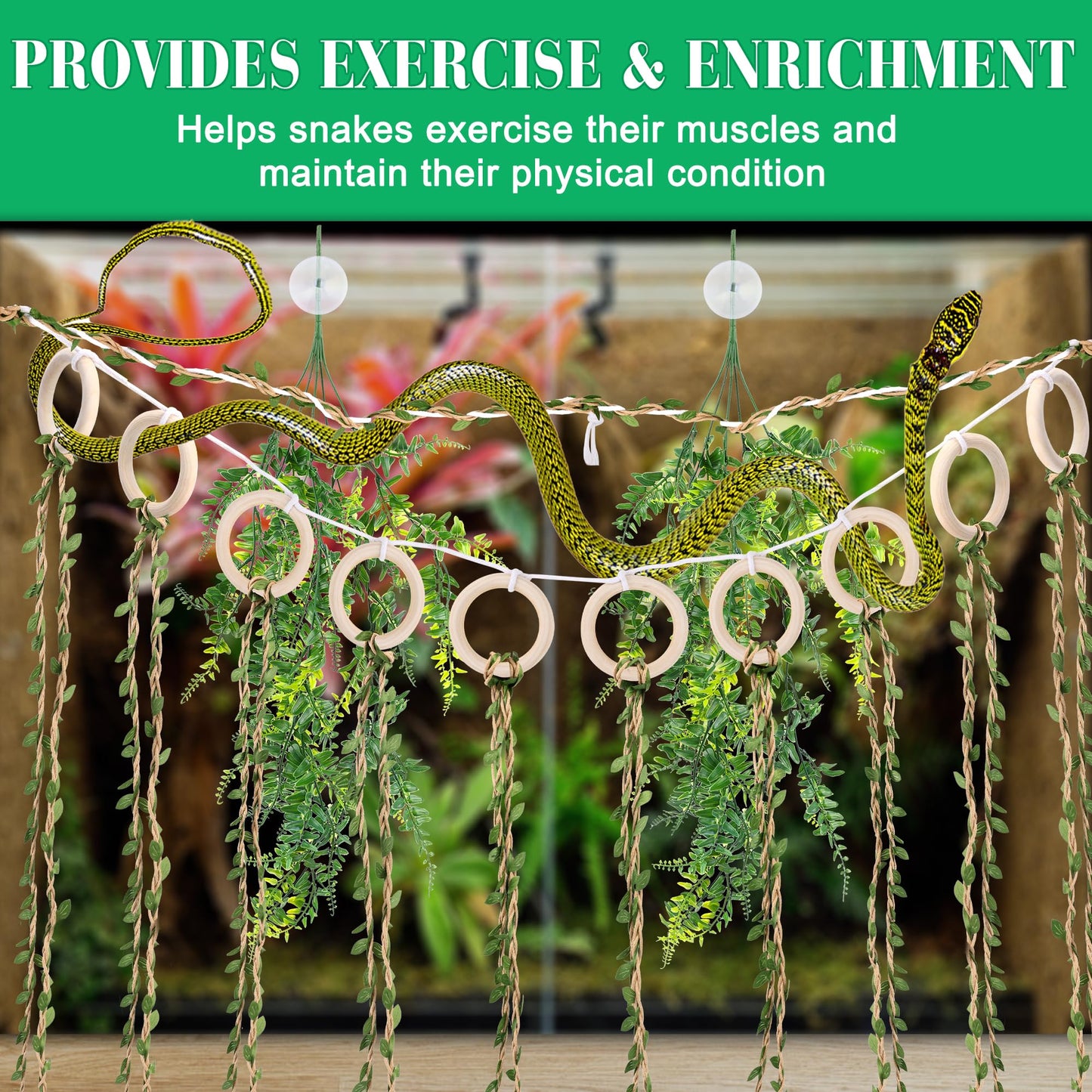 Coldairsoap Snake Climbing Vines with Reptile Plants Kit, Handcrafted Jungle Vines, Snake Enclosure Accessories for Ball Pythons, Corn Snakes, Bearded Dragon, Chameleon, Lizard, Snake Enrichment Toys