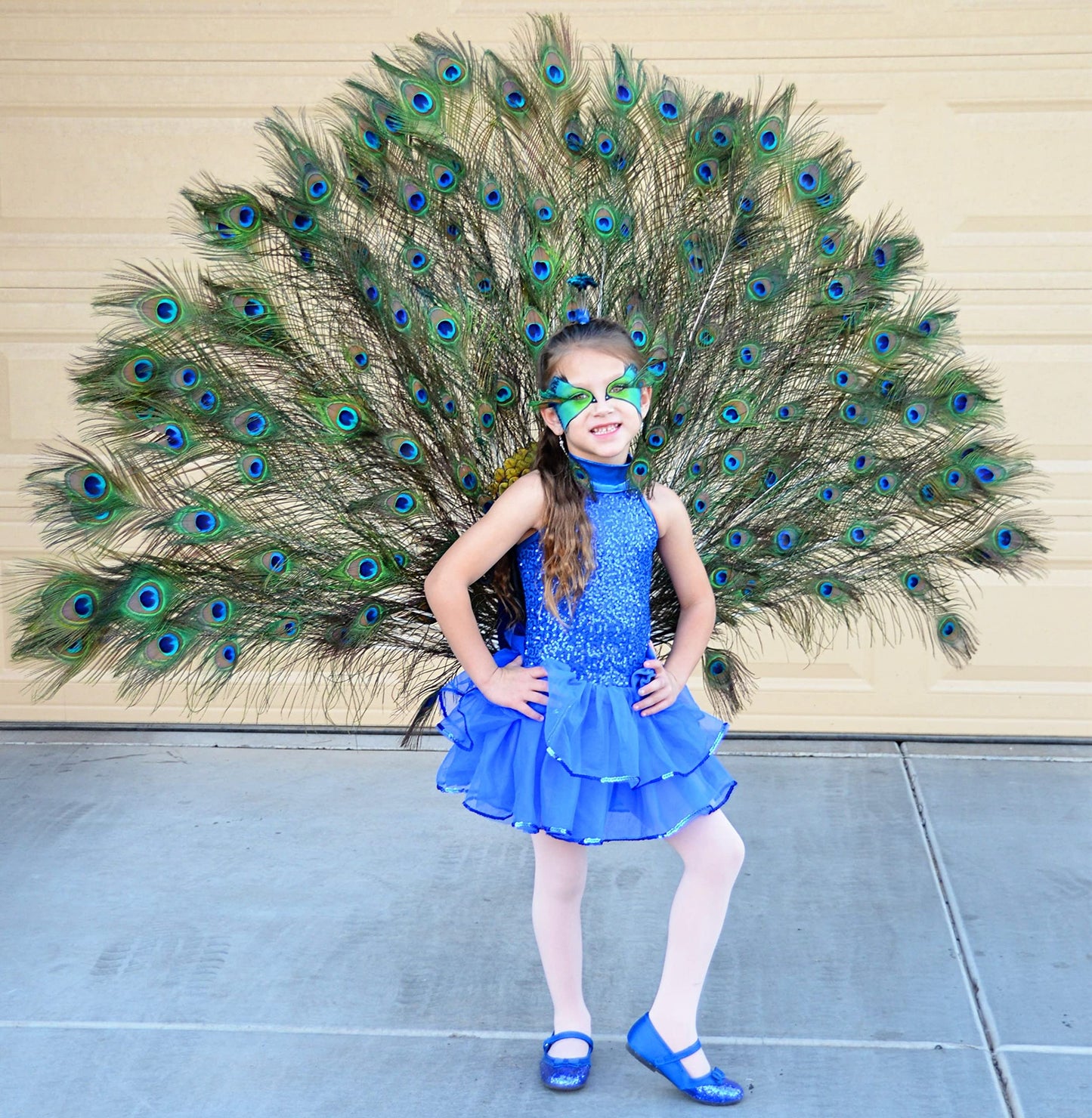 50 Pcs Natural Peacock Feathers : Various Sizes (10-12”)
