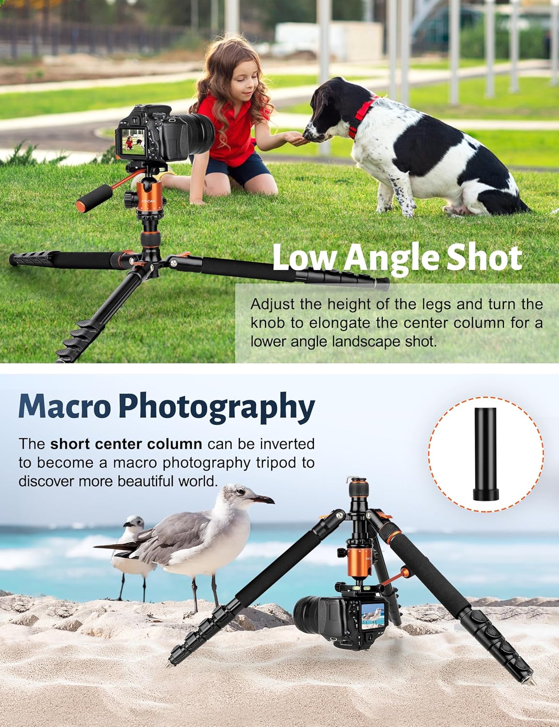 Camera Tripod, 81" Heavy Duty Aluminum Tripod for DSLR/Camera/Smartphone - with Handle, Converts to Monopod, Holds 35lbs
