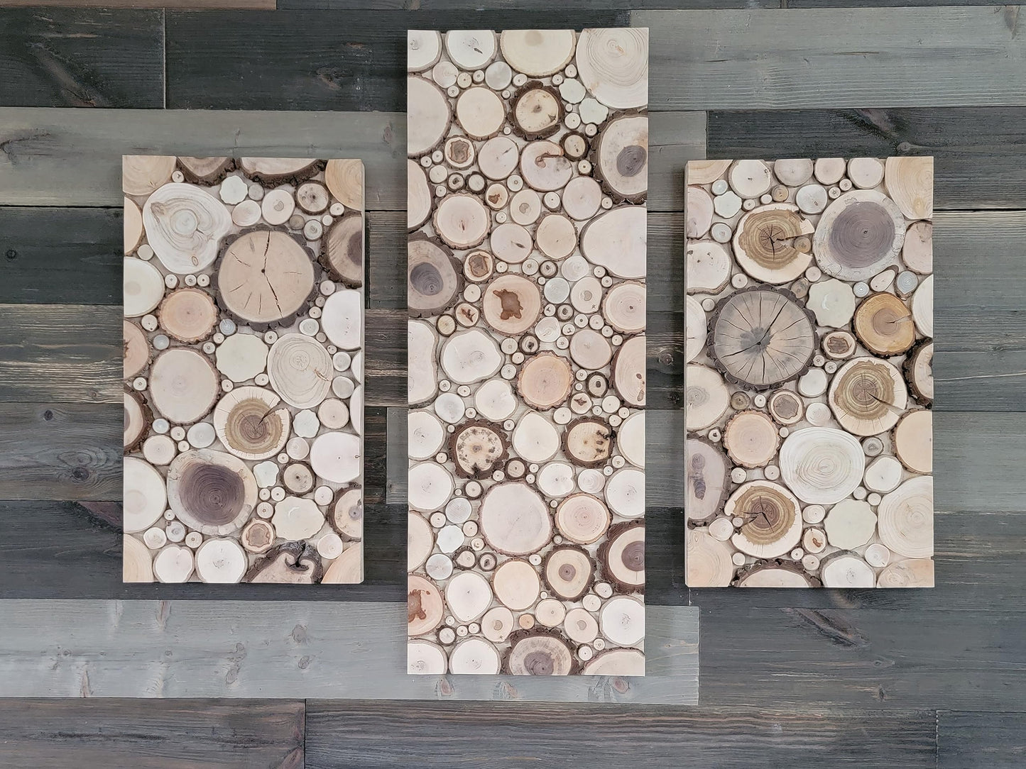 Unfinished Wood Slice Variety Pack, Extra Small Assorted Wood Slices 0.75 to 1.25 Inch Diameter, Natural Organic Vase Filler, Wedding or Home Decor, DIY Craft Projects
