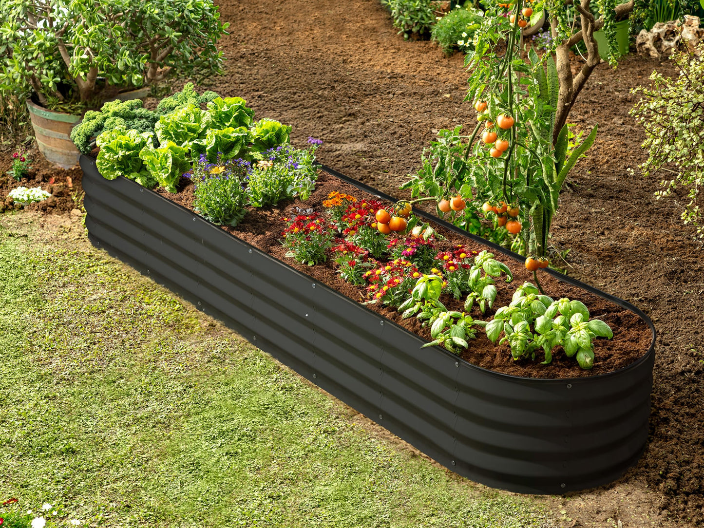 Plant & Plot Galvanized Raised Garden Beds Outdoor // 8×2×1 ft Planter Raised Beds for Gardening, Vegetables, Flowers // Large Metal Garden Box (Black) // Patented Tool-Free Design