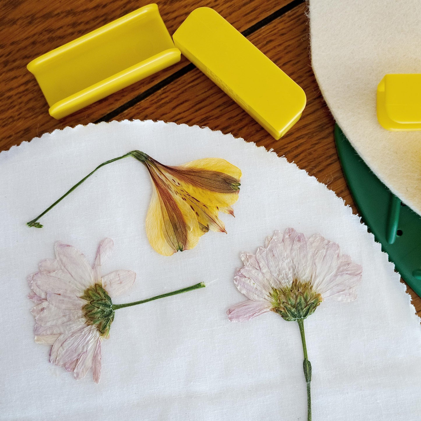 GSM Brands Microwave Flower Press Kit for Drying Leaf, Plant, and Flowers (10 Inch Round)