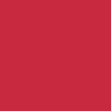 Seamless Photogrphy Background Paper, Paper Backdrop Roll for Photoshoot, 53" x16', Scarlet - color: Scarlet, size: 53"x16'