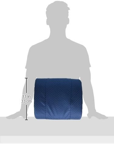 Carex Lumbar Support Pillow - Office Chair Back Support, Back Cushion and Lower Back Pillow - Desk Chair Back Support