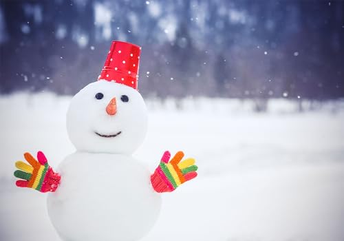 6X4ft Fabric Cute Snowman Winter Snow Backdrop Cheerful Holiday Scene Background Christmas Birthday Party Decorations Kids Photo Studio Props Wall Decor Living Room Bedroom Tapestry - size: 6X4ft