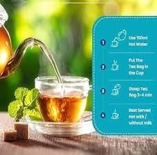 Goodwyn Peppermint Tea – 20 Herbal Tea Bags | Caffeine-Free Peppermint Flavor with Real mint Leaves | Organic mint Tea | Individually Wrapped Plastic-Free Bags | Travel-Friendly | Aromatic, Refreshing | Indian Origin Herbal Tea