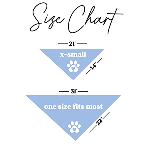 Promoted to Big Sister Dog Bandana | 100% Cotton Adjustable Triangle | Pregnancy Announcement Photoshoot Prop | New Baby Made in USA | Baby Blue One Size (692) - color: Baby Blue, size: One Size