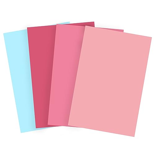 Bessie Bakes Malibu Solid Color Roll-Up 2 Feet x 3 Feet Photography Backdrops 4 Pack - color: Blush, Flamingo, Rose, Diamond