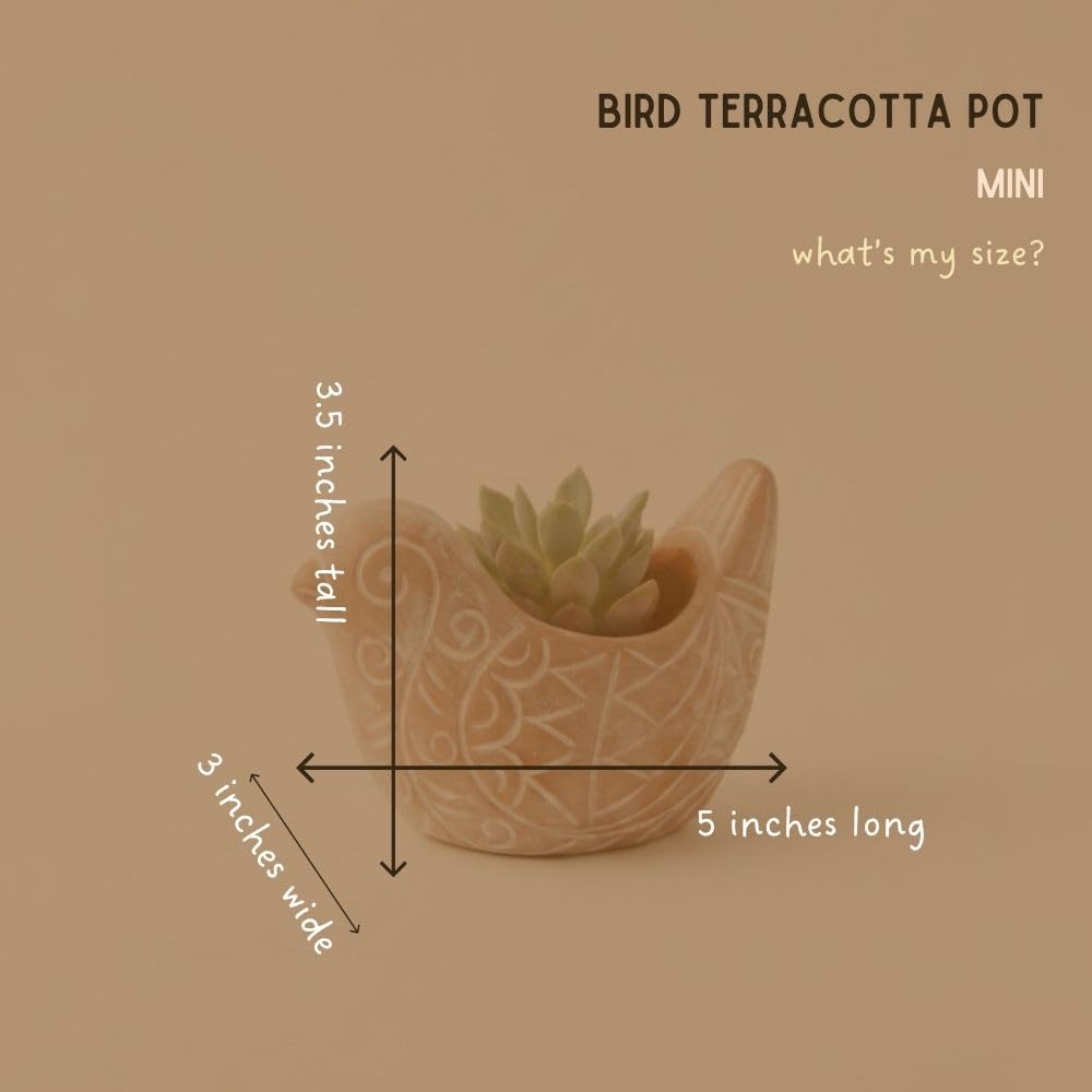 Potthing Terracotta Bird Shape Pots (Set)