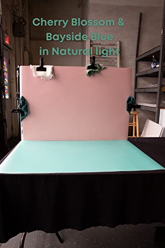 Bessie Bakes Soft Pastel Solid Color Roll-Up 2 Feet x 3 Feet Photography Backdrops 3 Pack - color: Bayside Blue, Pale Turquoise, Cherry Blossom