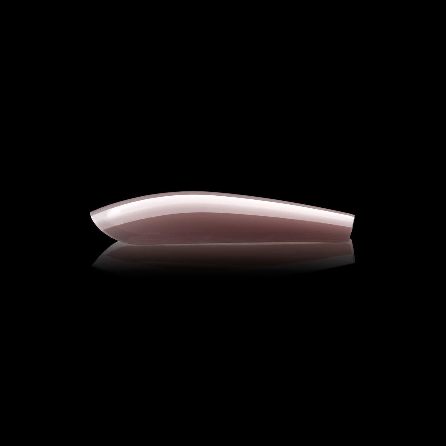 Apres Neutrals Gel-X Mia Box Of Press On Nails, 11 Sizes 00-9, Soft Gel Nail Tip Box (150pcs) (Sculpted Coffin Long, 150pcs)