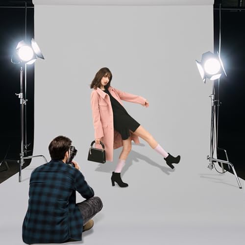 TRLYC Gray Background Backdrop - 8x10 FT Photography Screen Seamless Backdrop Photo Booth Photoshoot Background Screen for Photo Video Photography Studio - color: Gray, size: 8x10FT