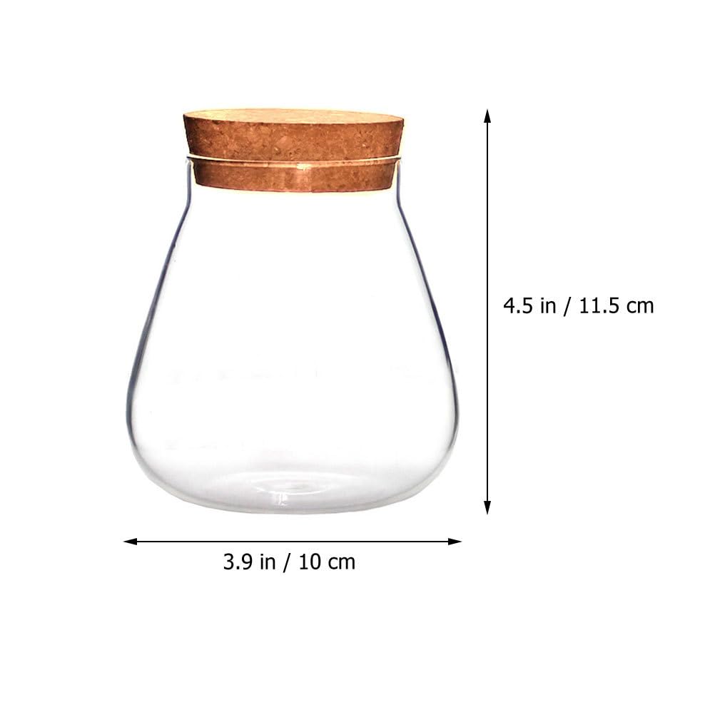 Ciieeo Creative Glass Bottle Ornament 4.52X3.93X3.93In Clear Terrarium Jar with Cork Lid for Mini Plant Display Diy Crafts Home D Cor Accent