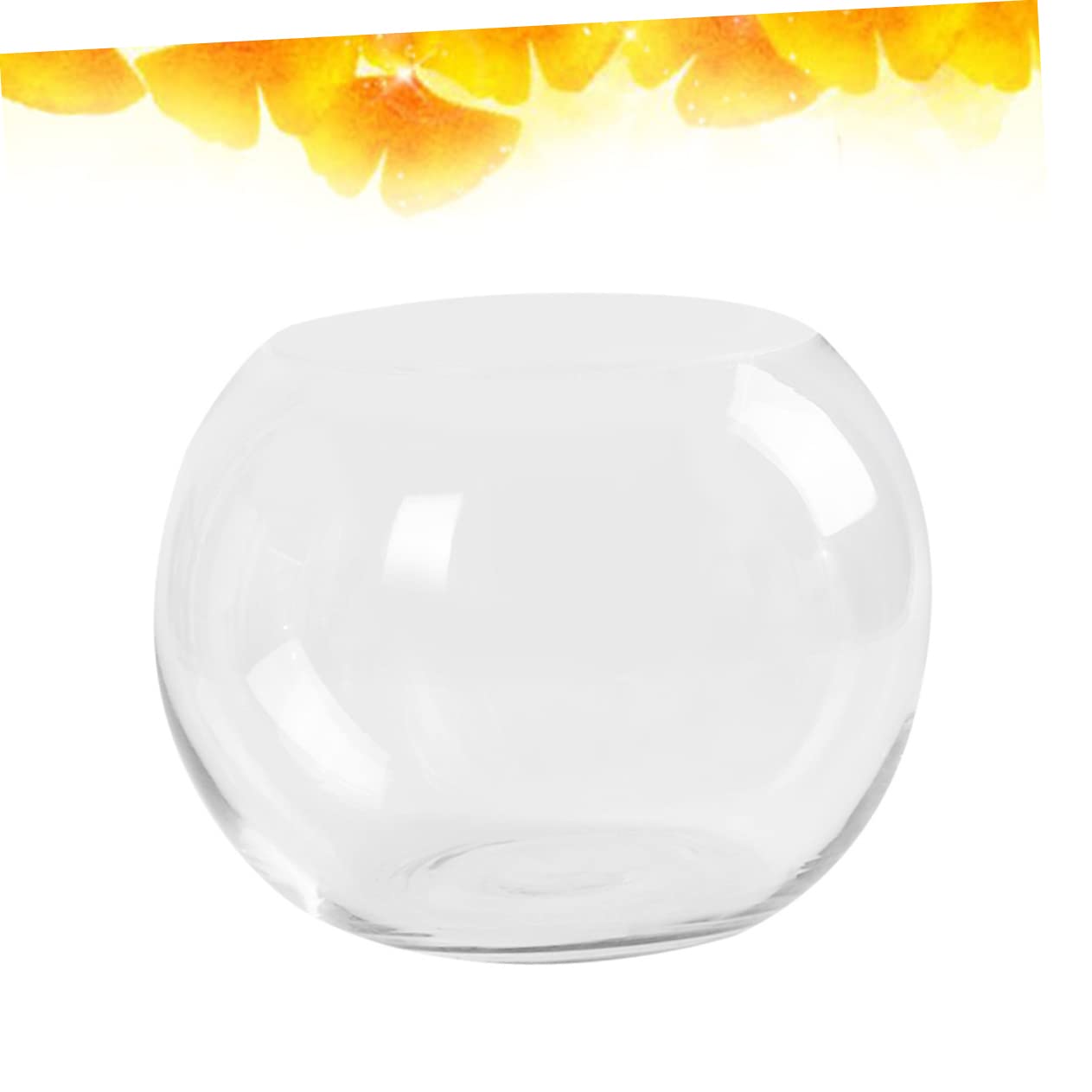 Ipetboom Transparent Hydroponic Glass Vase Rounded Desktop Plant Holder for Home Office Hotel Decor Smooth Rust Resistant Surface Fish Tank Terrarium Centerpiece