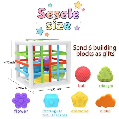 EasierLTtoys Suitable for 1-Year-Old Babies, 6-piece Multi-Sensory Shape Toys, Early Childhood Development Learning Birthday Gift, 12-Month Baby Toys