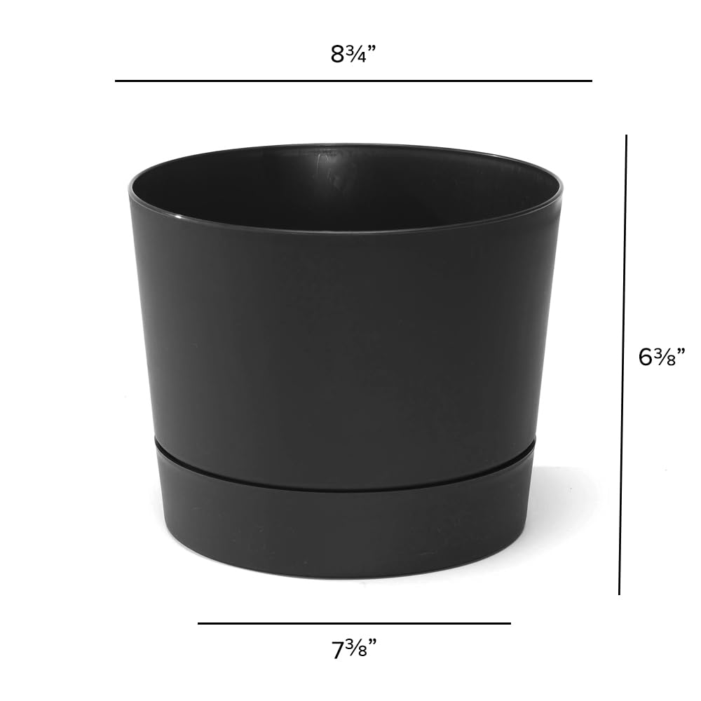 Root & Vessel Majestic Mid-Century Modern Low Profile Cylinder Pot, Matte Black, 8.5"