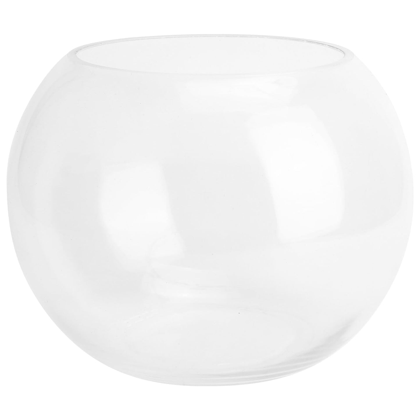 Healeved Glass Hydroponic Plant Vase 20cm Round Fish Tank Terrarium Holder Desktop Flower Pot for Home Office Decor