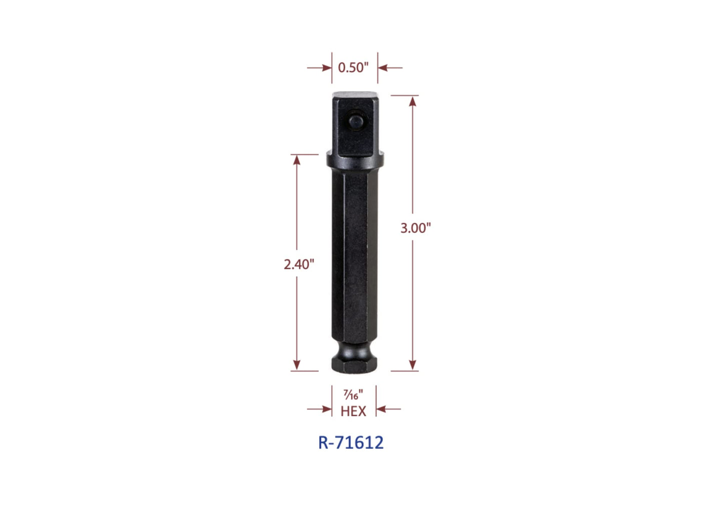 Nut Runner Impact Socket and Penta Socket Bundle - Impact Adapters Included - Nut Runner Socket and Two 5-Point Utility Sockets - 3/8" Drive 13/16" and 1/2" Drive 13/16"
