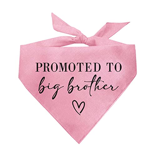 Promoted to Big Sister Dog Bandana | 100% Cotton Adjustable Triangle | Made in USA | New Baby | Pregnancy Announcement Photoshoot Prop | Gender Reveal | Baby Pink One Size (692) - color: Baby Pink, size: One Size
