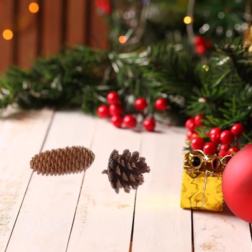 LUOEM Natural Forest DIY Craft Set Rustic Pine Cones Leaves Dried Flowers Ornaments Photo Booth Props Home Decor
