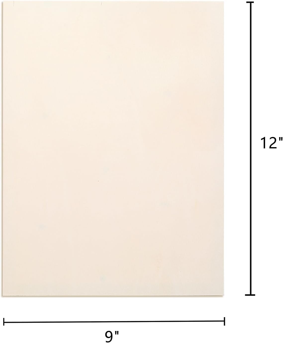 Frcctre 6 Pack 9 x 12 Inch Wood Canvas Panels, Unfinished Wooden Canvas Boards Wood Cradled Painting Panel Boards for Pouring, Art, DIY Crafts, Burning