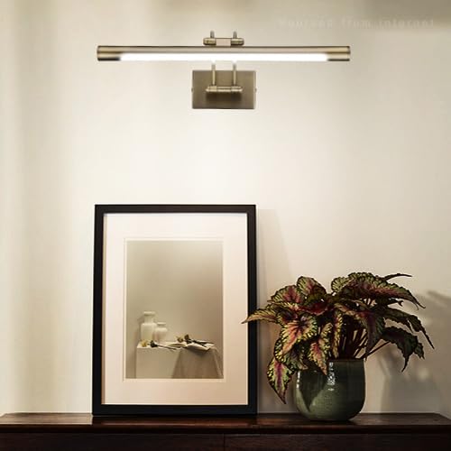 LEONLITE 3CCT Dimmable LED Picture Light, 2700K/3000K/4000K Selectable, CRI90 Swivel Full Metal Picture Frame Light for Wall Art, Painting, Artwork, Portrait, Plug-in & Hardwired, Antique Brass - color: Antique Brass-CCT