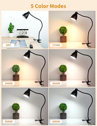 BOHON Desk Lamp 5 Color Modes 10 Brightness Dimmer Reading Light 10W 38 LED Clamp Lamp with Auto Off Timer 360° Flexible Neck Clip on Light for Bed Bedside, AC Adapter Include - color: Black