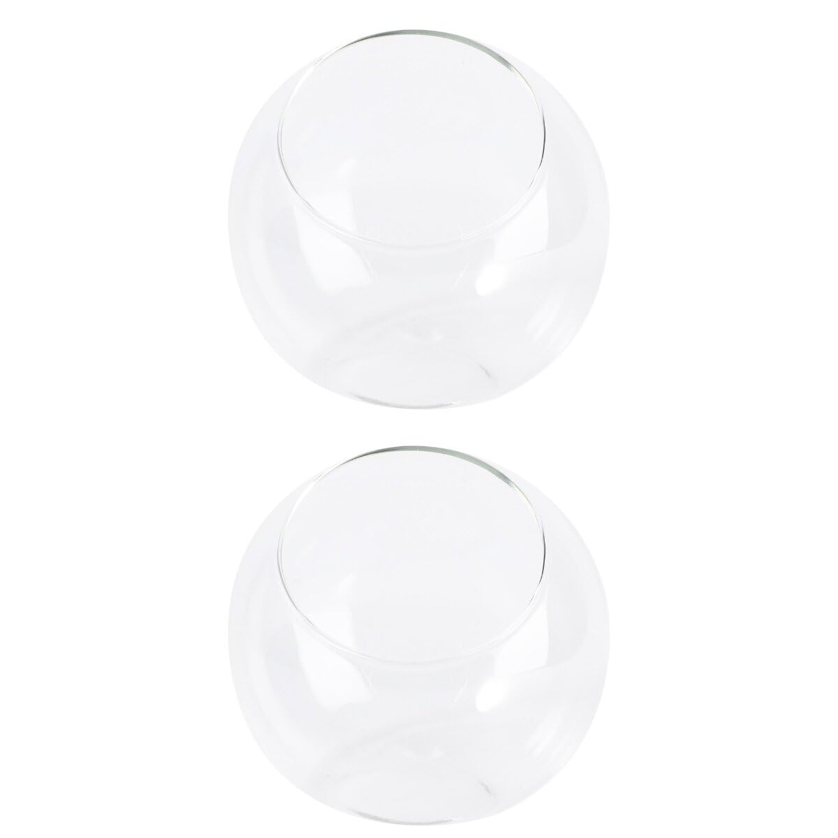 GANAZONO 2Pcs Micro Landscape Glass Bottle Terrarium Decor DIY Container for Plants Glass for Bedroom Living Office and Handmade
