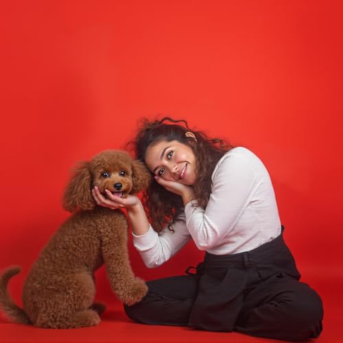 Kate Seamless Paper Backdrop Red Paper Backdrop Seamless Backdrop Paper Rolls (53''x16.4' Scarlet) - color: Scarlet, size: 53''x16.4'