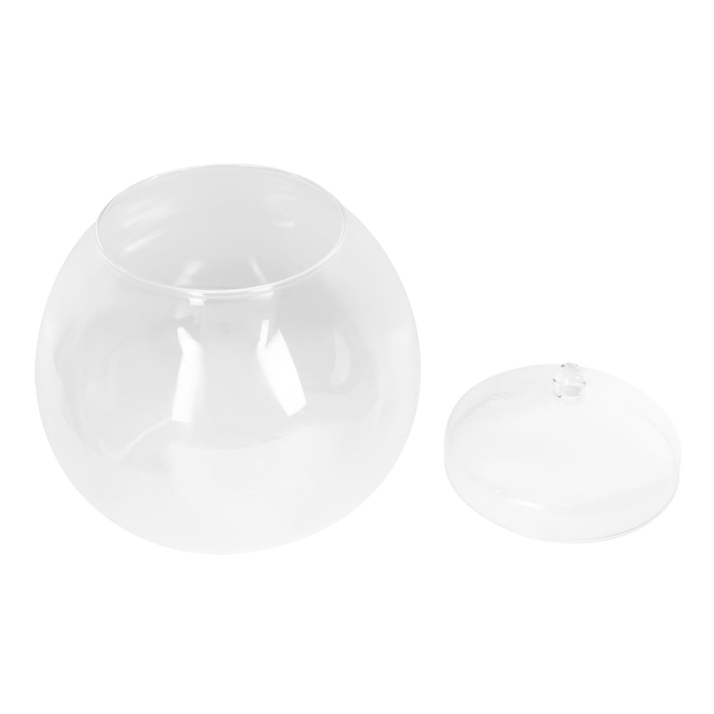 Glass Plant Terrarium Lid Eco Bottle Terrarium Jars Moss Ball Decorative Vase Style