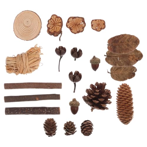 LUOEM Natural Forest DIY Craft Set Rustic Pine Cones Leaves Dried Flowers Ornaments Photo Booth Props Home Decor