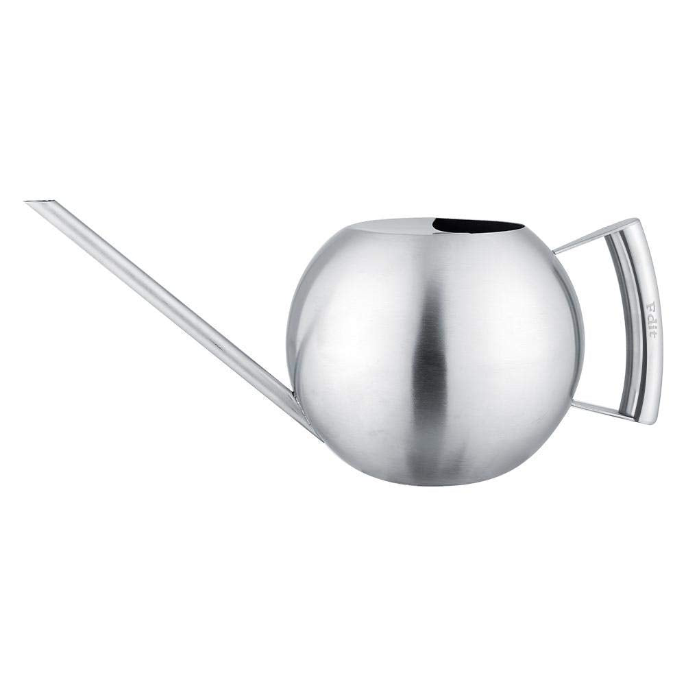 Fdit Watering Can for Indoor Plants, Stainless Steel, Long Spout, 1.0L, Silver, 11.42 Inch