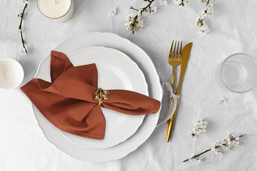 Accent Home 100% Cotton Napkins, Delicate Cloth Napkins for Dinners, Parties and Weddings，18 x 18 Inch Set of 12 - Rust - color: 03 - Rust - Twill, size: 18"x18" - Pack of 12