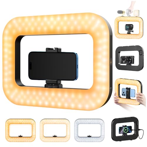 yAyusi Cell Phone Light for Video Recording, Handheld Phone Stabilizer with Light, 8000mAh LED Selfie Phones Ring Light with Phones Holder, Smartphone Video Rig for Camera, Action Camera, Vlog, TikTok - size: Universal