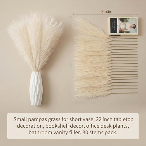 30PCS Artificial Pampas Grass Decor, 21.7" Small Faux Pampas Grass No Shedding Allergy Free, Fluffy Boho Silk Flowers for Vase Filler, Home Living Room Wedding Table Centerpieces, Beige - size: Begie
