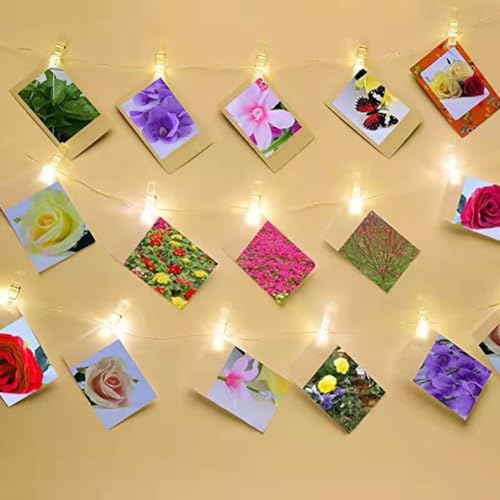 50pcs Clip Photo Holders, Clear Small Clips Binder Photo Clips Mini Hanging Spring Clip Transparent Plastic Clamps for Hanging Clothes Photos Picture(Transparent)