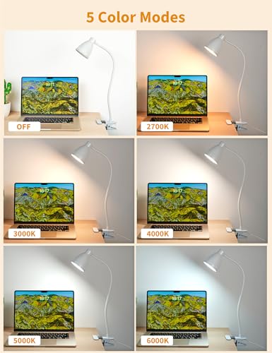 BOHON Clamp Lamp Reading Light 5 Color Modes 10 Brightness Dimmer Bedside Lamp 10W 38 LED Desk Lamp with Auto Off Timer 360° Flexible Gooseneck Clip on Light for Bed Office, Adapter Include, White - color: White