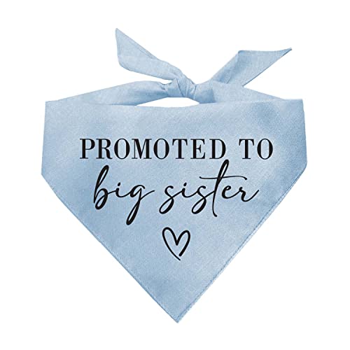 Promoted to Big Sister Dog Bandana | 100% Cotton Adjustable Triangle | Pregnancy Announcement Photoshoot Prop | New Baby Made in USA | Baby Blue X-Small (692) - color: Baby Blue, size: X-Small