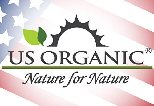 US Organic 100% Pure Clove Stem Essential Oil - USDA Certified Organic, Steam Distilled (30 ml)